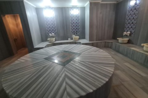 2+1 Leilighet i Alanya, Antalya, Tyrkia Nr. 216682 - 4