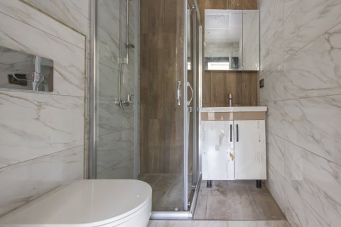 4+1 Wohnung  in Demirtas, Alanya, Antalya, Türkei Nr. 211223 - 29