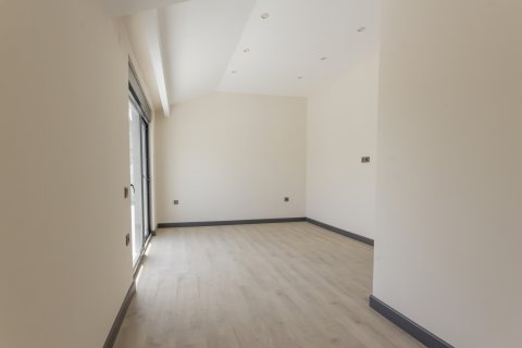4+1 Wohnung  in Demirtas, Alanya, Antalya, Türkei Nr. 211223 - 24