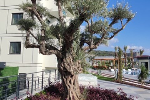 1+1 Lejlighed i Antalya, Tyrkiet Nr. 222614 - 23