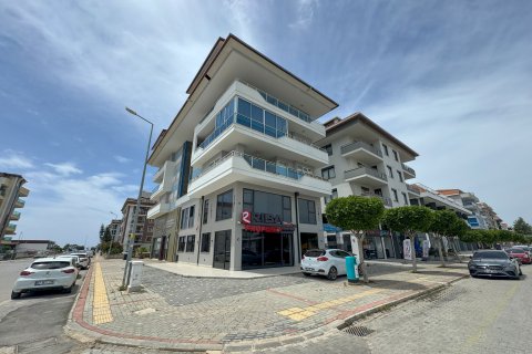 4+1 Wohnung in Kestel, Antalya, Türkei Nr. 218464 - 3