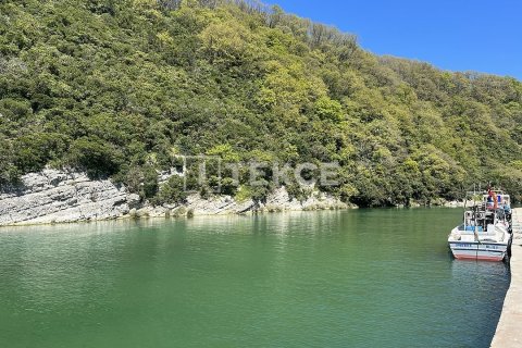 7+1 Villa  in Sile, Istanbul, Turkey No. 224693