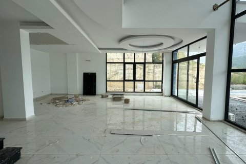 4+1 Villa i Kargicak, Alanya, Antalya, Turkiet Nr. 213737 - 18