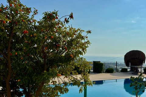 3+1 Villa i Alanya, Antalya, Tyrkia Nr. 227157 - 18