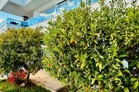3+1 Villa i Alanya, Antalya, Tyrkia Nr. 227157 - 27