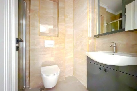 1+0 Wohnung  in Mahmutlar, Antalya, Türkei Nr. 225003 - 8