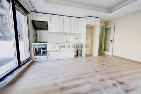 1+1 Wohnung in Besiktas, Istanbul, Türkei Nr. 229033 - 8