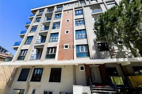 1+1 Apartment  in Besiktas, Istanbul, Turkey No. 229033