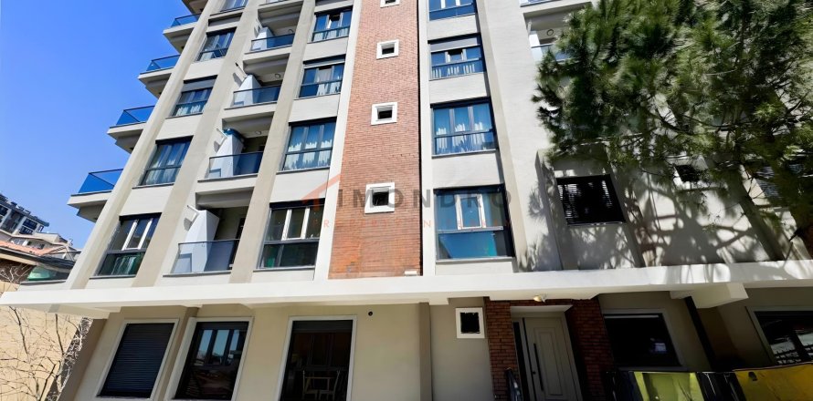 1+1 Wohnung in Besiktas, Istanbul, Türkei Nr. 229033