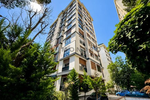 2+1 Apartment  in Kadikoy, Istanbul, Turkey No. 229031
