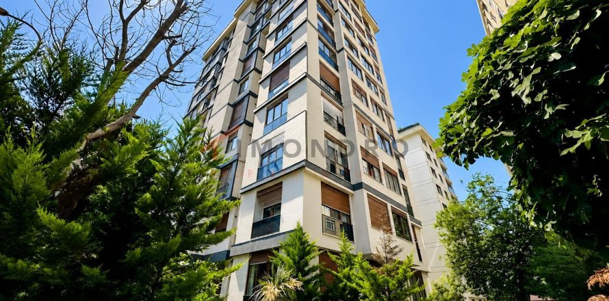 2+1 Wohnung  in Kadikoy, Istanbul, Türkei Nr. 229031