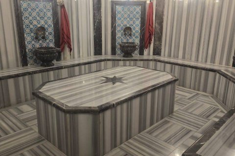 1+1 Lägenhet  i Mahmutlar, Antalya, Turkiet Nr. 217626 - 8