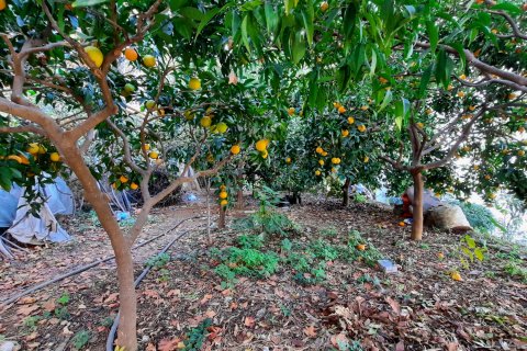5+2 Villa i Kestel, Bursa, Tyrkiet Nr. 217352 - 8