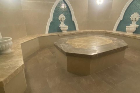 3+1 Lägenhet i Kargicak, Alanya, Antalya, Turkiet Nr. 215428 - 33