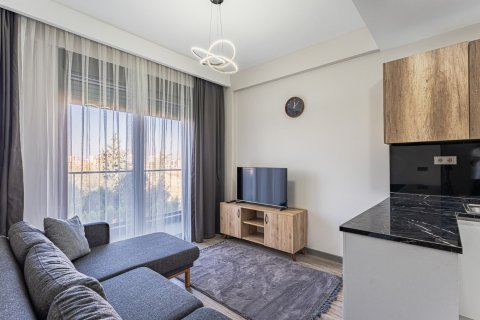 1+1 Leilighet i Aksu, Antalya, Tyrkia Nr. 213221 - 8