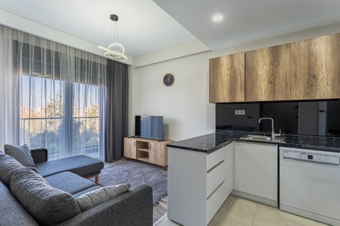 1+1 Leilighet i Aksu, Antalya, Tyrkia Nr. 213221 - 15
