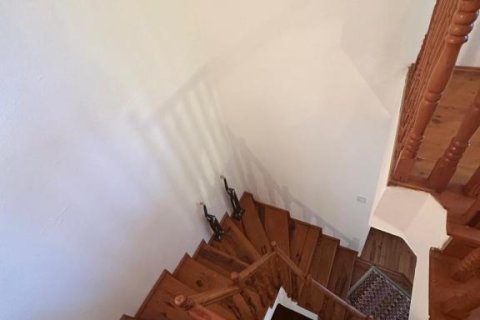 Villa  i Demirtas, Alanya, Antalya, Tyrkia Nr. 224723 - 12
