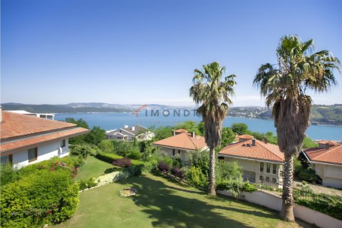 7+1 Villa in Sariyer, Istanbul, Türkei Nr. 224523