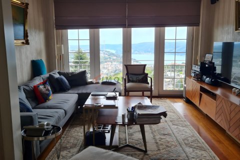 Villa for sale  in Sariyer, Istanbul, Turkey, 6 bedrooms, 800m2, No. 224525 – photo 23
