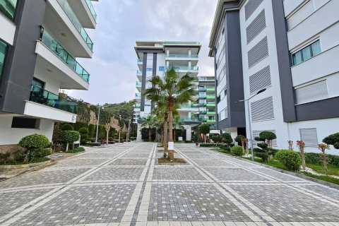 Apartment for rent in Kargicak, Alanya, Antalya, Turkey, studio, 65m2, No. 224909 – photo 13