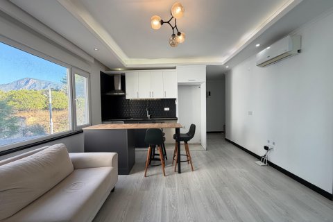 Продажа квартиры в Аланье, Анталье, Турция 2+1, 80м2, №216910 – фото 15