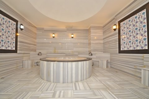 1+1 Lejlighed i Alanya, Antalya, Tyrkiet Nr. 216746 - 17