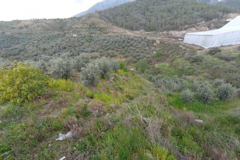 Land plot  in Kargicak, Alanya, Antalya, Turkey No. 103931