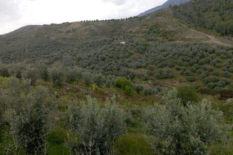 زمین در Kargicak،  Alanya ، ترکیه 2006 متر مربع.  شماره 103931 - 5