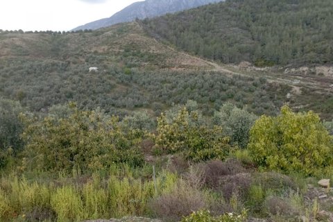 زمین در Kargicak،  Alanya ، ترکیه 2006 متر مربع.  شماره 103931 - 4