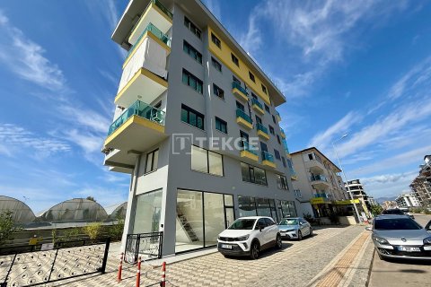 2+1 Leilighet i Alanya, Antalya, Tyrkia Nr. 212702 - 3