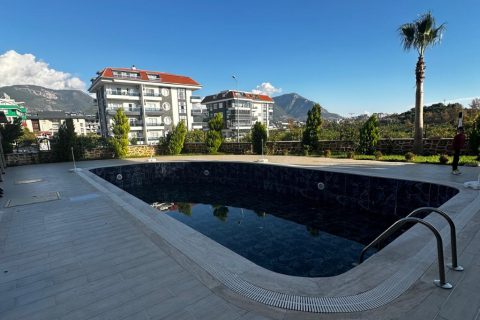 1+1 Wohnung in Alanya, Antalya, Türkei Nr. 216541 - 18