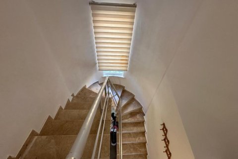 Villa i Alanya, Antalya, Tyrkia Nr. 222424 - 18