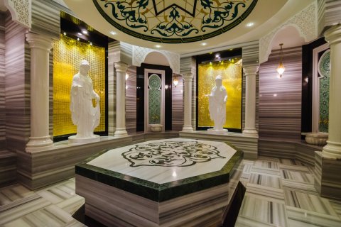 Lejlighed i Alanya, Antalya, Tyrkiet Nr. 222420 - 11