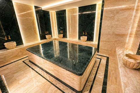 1+1 Lejlighed i Mahmutlar, Antalya, Tyrkiet Nr. 223334 - 9