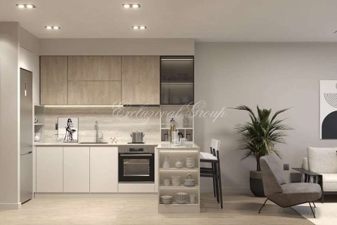 1+1 Lägenhet  i Istanbul, istanbul, Turkiet Nr. 212147 - 11