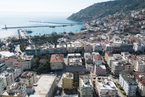 Gewerbeimmobilien in Alanya, Antalya, Türkei Nr. 93240 - 2