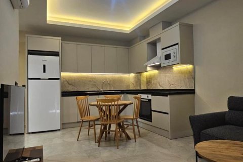 1+0 Leilighet i Alanya, Antalya, Tyrkia Nr. 215880 - 4