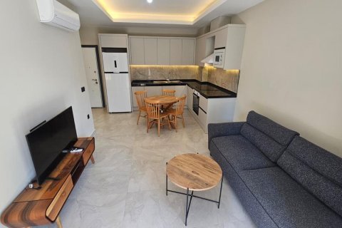 1+0 Leilighet i Alanya, Antalya, Tyrkia Nr. 215880 - 3