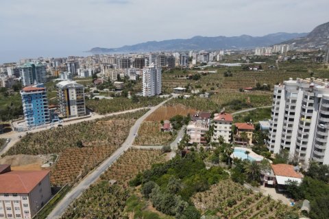 Daire 1+1 Alanya, Antalya, Türkiye №139891 - 21