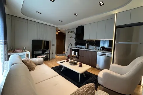 1+1 Wohnung in Mugla, Türkei Nr. 223915 - 11