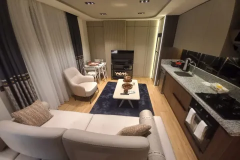 1+1 Wohnung in Mugla, Türkei Nr. 223915 - 21