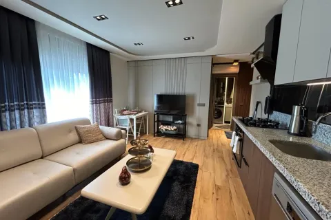 1+1 Wohnung in Mugla, Türkei Nr. 223915 - 10