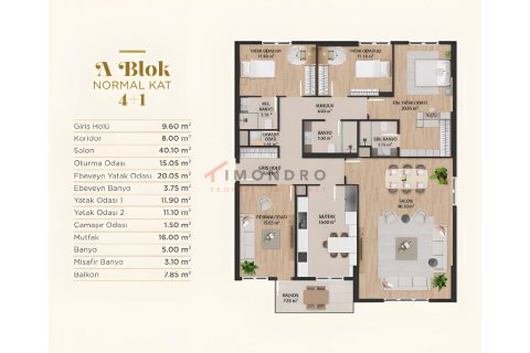 4+1 Wohnung  in Basaksehir, Istanbul, Türkei Nr. 212882 - 2