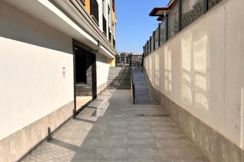 1+1 Wohnung  in Mahmutlar, Antalya, Türkei Nr. 237467 - 12