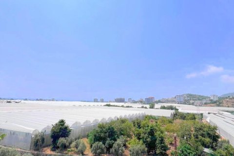 1+0 Lejlighed i Demirtas, Alanya, Antalya, Tyrkiet Nr. 228636 - 10