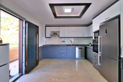Продажа виллы в Бекташе, Аланье, Анталье, Турция 3 комн., 300м2, №228635 – фото 5