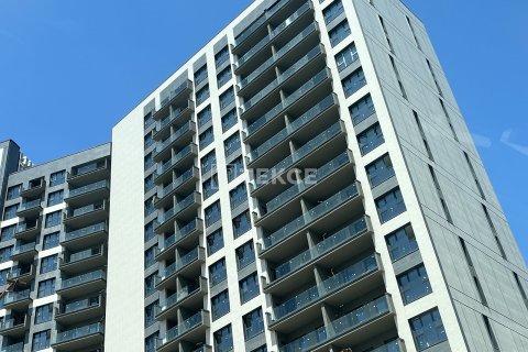 1+1 Lejlighed i Istanbul, Tyrkiet Nr. 104443 - 22