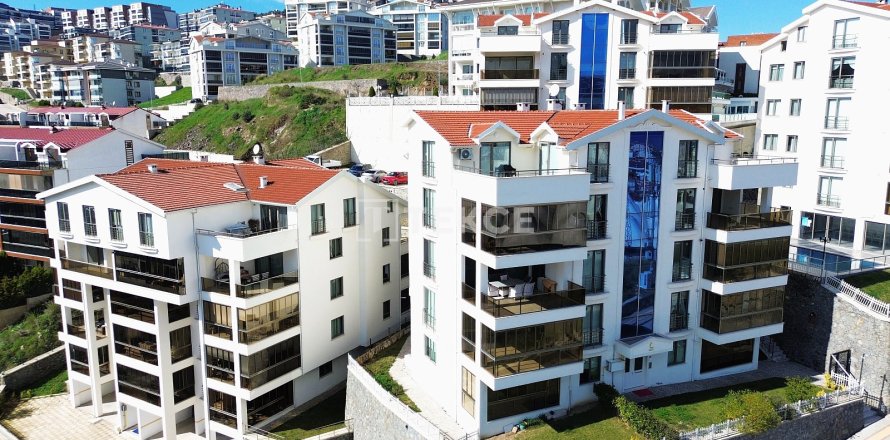 5+1 Apartment in Mudanya, Bursa, Turkey No. 219977