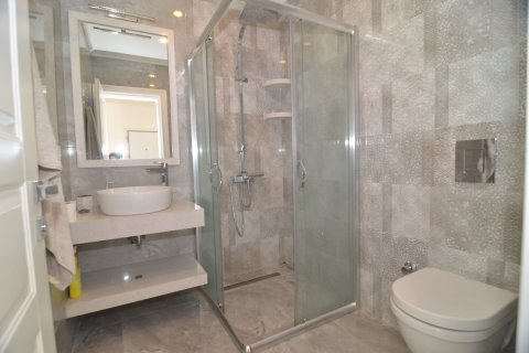 4+1 Wohnung  in Alanya, Antalya, Türkei Nr. 213122 - 27
