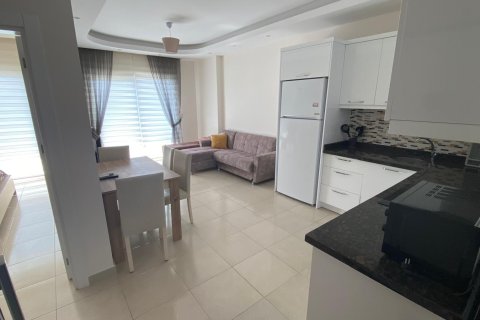1+1 Lejlighed i Alanya, Antalya, Tyrkiet Nr. 216654 - 12